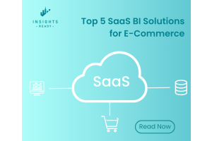 Cloud-based SaaS BI solutions for e-commerce analytics, featuring insights, dashboards, and data integration.